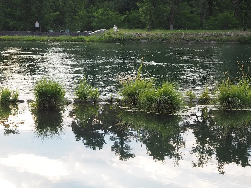 Parco naturale lombardo valle ticino panperduto, fiume