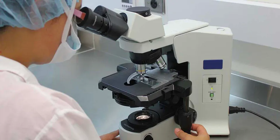 Pavia, torna il ciclo nazionale di seminari online "Molecular Parasitology Seminars"