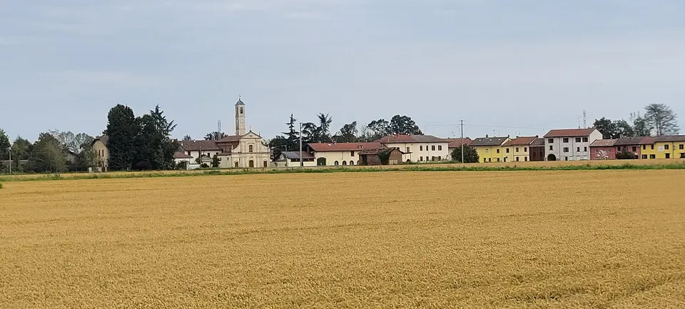 Panorama della frazione Barbavara tra le risaie.